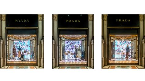 prada new york window shopping interactive display|Blossom: Prada’s new store windows by Thomas Demand.